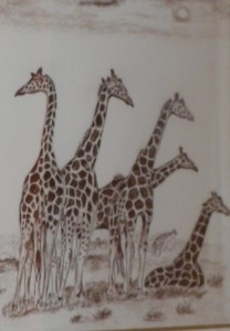 Girafes sanguine
